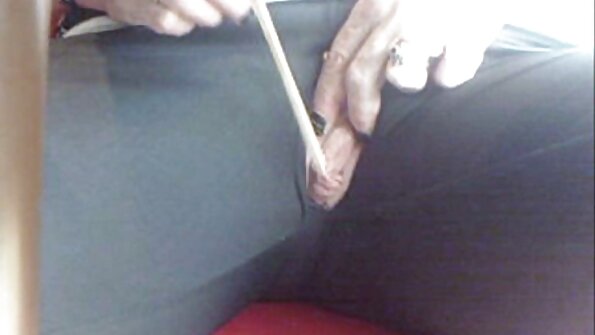 Zatovo be tratra mivonto nono mipetraka eo an-tampon'ny hazo mafy