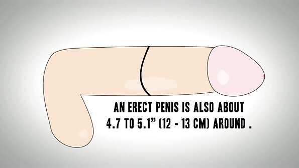 Varavarankely mamitaka no mamelatra ny tongony